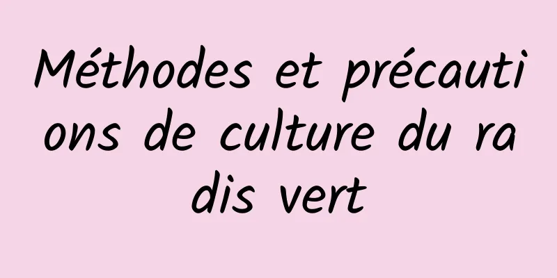 Méthodes et précautions de culture du radis vert