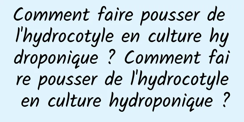 Comment faire pousser de l'hydrocotyle en culture hydroponique ? Comment faire pousser de l'hydrocotyle en culture hydroponique ?