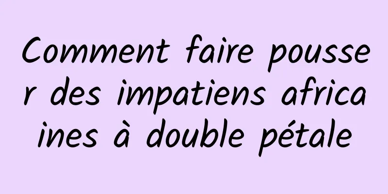 Comment faire pousser des impatiens africaines à double pétale
