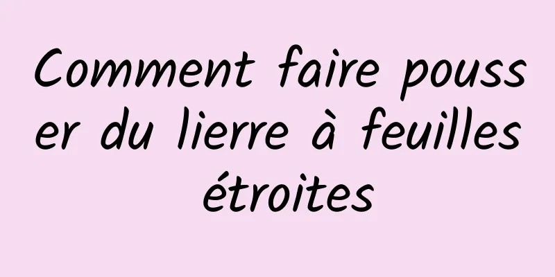 Comment faire pousser du lierre à feuilles étroites