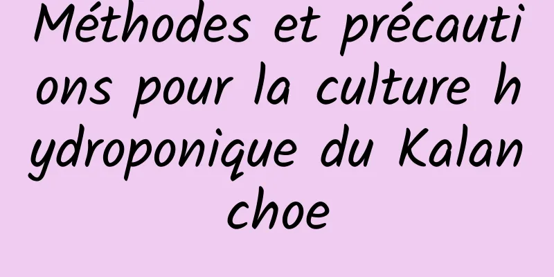 Méthodes et précautions pour la culture hydroponique du Kalanchoe