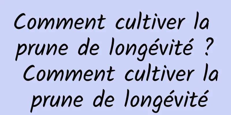 Comment cultiver la prune de longévité ? Comment cultiver la prune de longévité