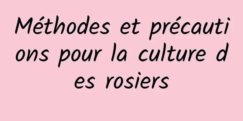 Méthodes et précautions pour la culture des rosiers