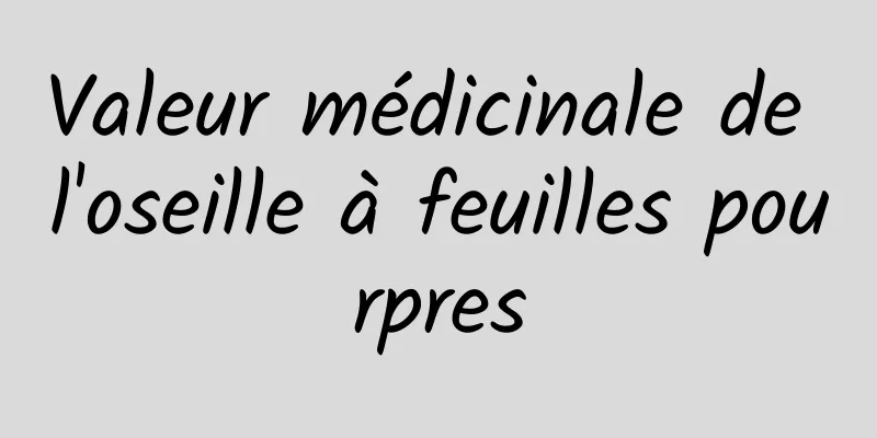 Valeur médicinale de l'oseille à feuilles pourpres