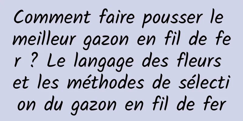 Comment faire pousser le meilleur gazon en fil de fer ? Le langage des fleurs et les méthodes de sélection du gazon en fil de fer