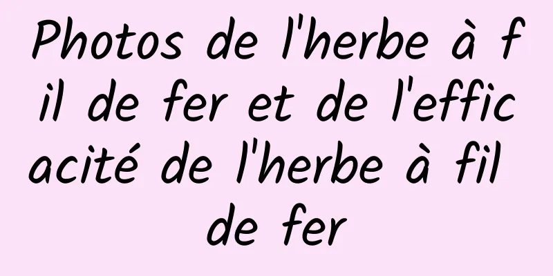 Photos de l'herbe à fil de fer et de l'efficacité de l'herbe à fil de fer