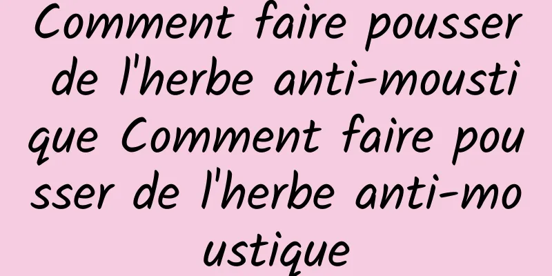 Comment faire pousser de l'herbe anti-moustique Comment faire pousser de l'herbe anti-moustique