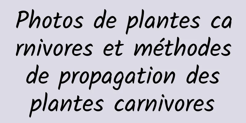 Photos de plantes carnivores et méthodes de propagation des plantes carnivores