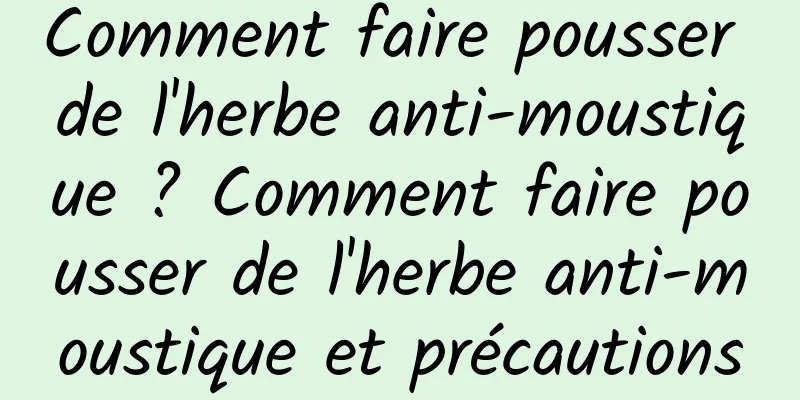 Comment faire pousser de l'herbe anti-moustique ? Comment faire pousser de l'herbe anti-moustique et précautions