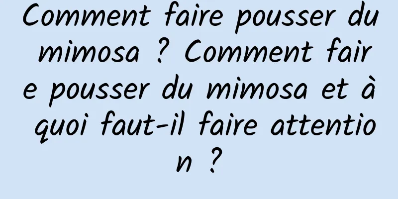 Comment faire pousser du mimosa ? Comment faire pousser du mimosa et à quoi faut-il faire attention ?