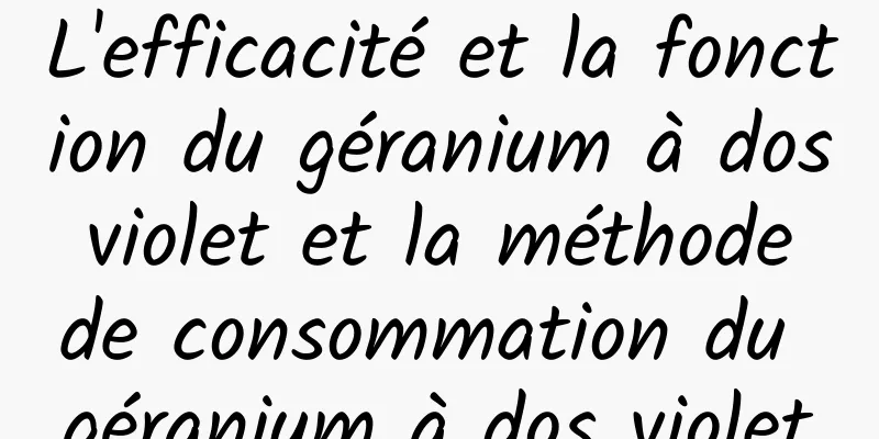 L'efficacité et la fonction du géranium à dos violet et la méthode de consommation du géranium à dos violet