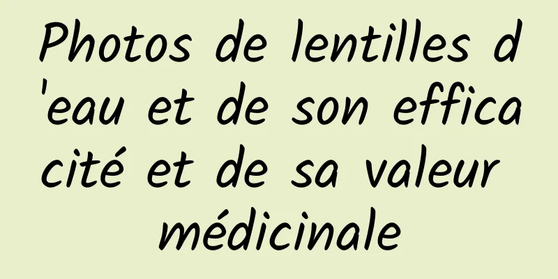 Photos de lentilles d'eau et de son efficacité et de sa valeur médicinale