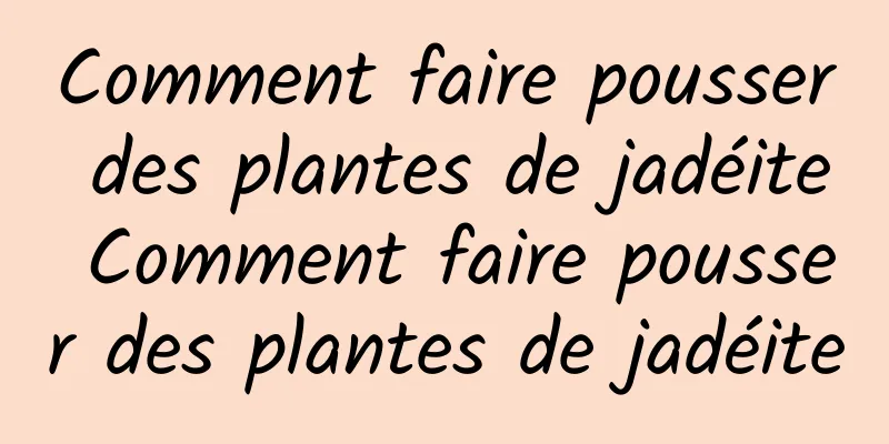 Comment faire pousser des plantes de jadéite Comment faire pousser des plantes de jadéite