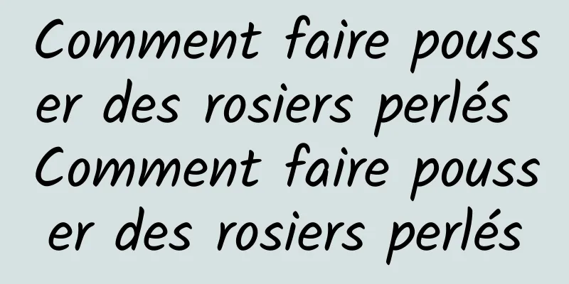 Comment faire pousser des rosiers perlés Comment faire pousser des rosiers perlés