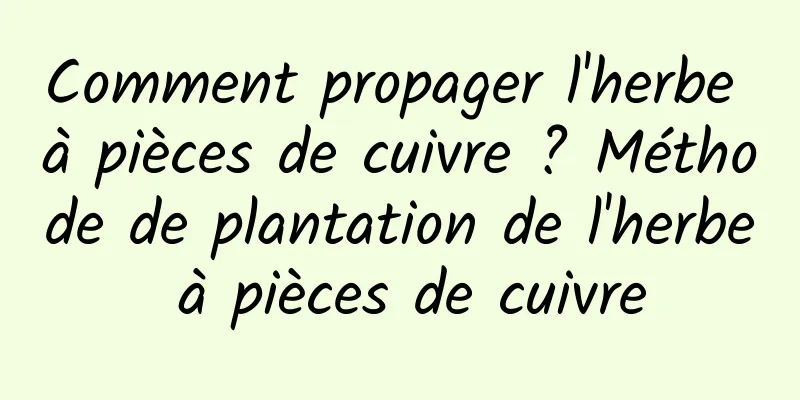 Comment propager l'herbe à pièces de cuivre ? Méthode de plantation de l'herbe à pièces de cuivre