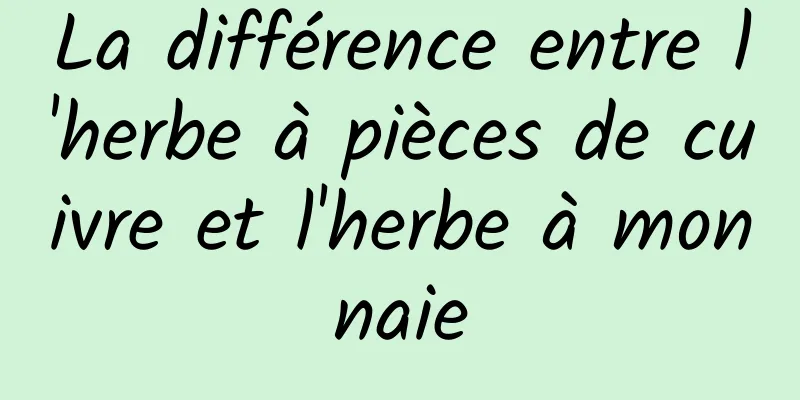 La différence entre l'herbe à pièces de cuivre et l'herbe à monnaie