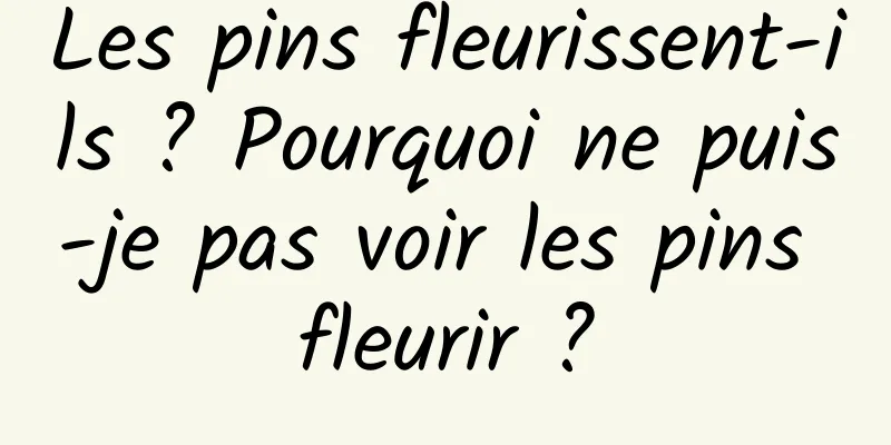 Les pins fleurissent-ils ? Pourquoi ne puis-je pas voir les pins fleurir ?