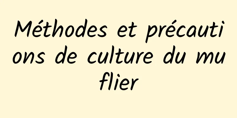 Méthodes et précautions de culture du muflier