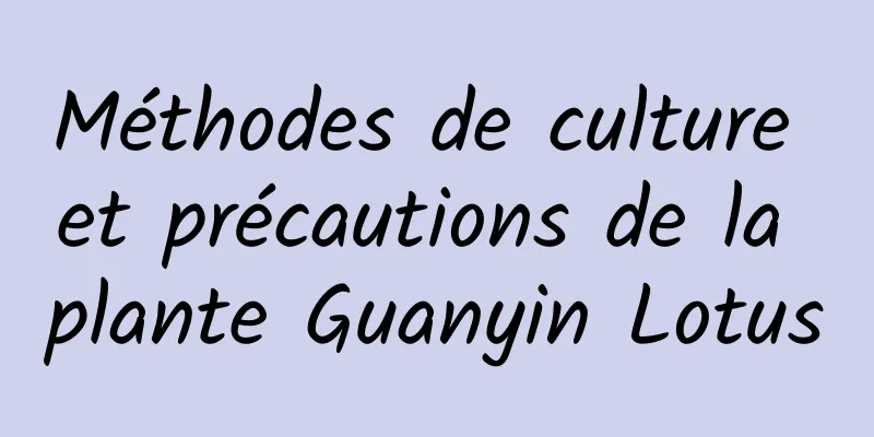 Méthodes de culture et précautions de la plante Guanyin Lotus