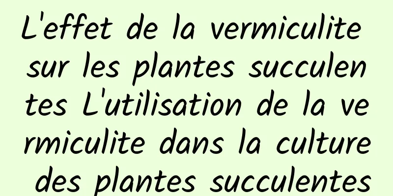 L'effet de la vermiculite sur les plantes succulentes L'utilisation de la vermiculite dans la culture des plantes succulentes