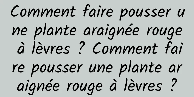 Comment faire pousser une plante araignée rouge à lèvres ? Comment faire pousser une plante araignée rouge à lèvres ?