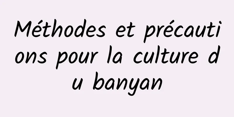 Méthodes et précautions pour la culture du banyan