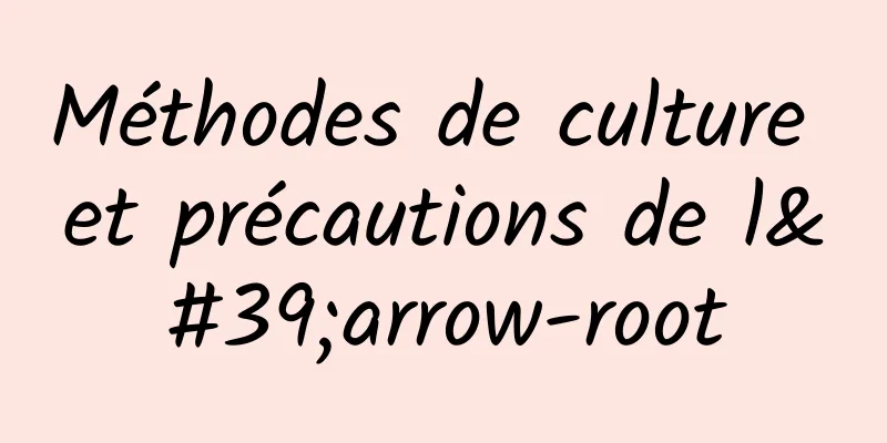 Méthodes de culture et précautions de l'arrow-root