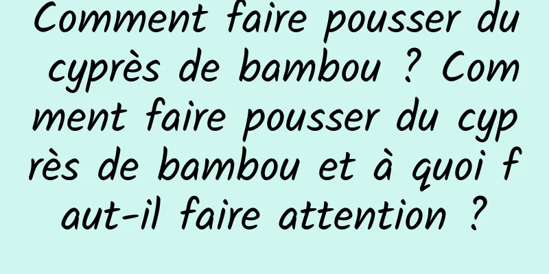 Comment faire pousser du cyprès de bambou ? Comment faire pousser du cyprès de bambou et à quoi faut-il faire attention ?