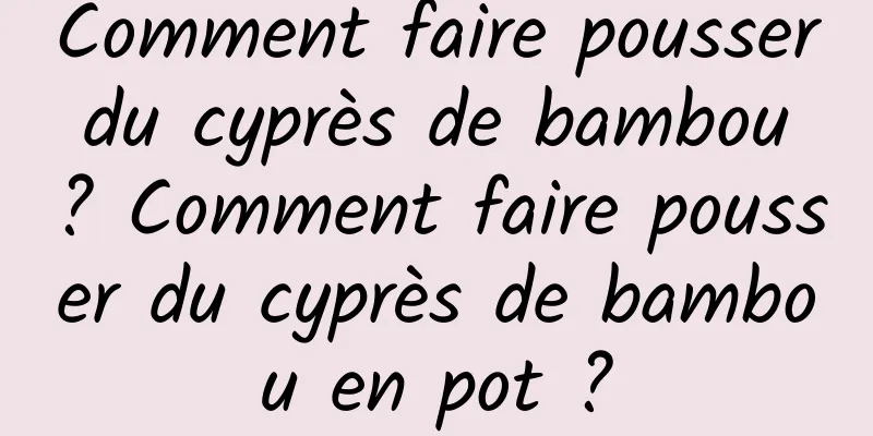 Comment faire pousser du cyprès de bambou ? Comment faire pousser du cyprès de bambou en pot ?