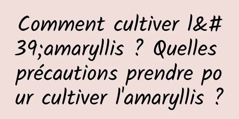 Comment cultiver l'amaryllis ? Quelles précautions prendre pour cultiver l'amaryllis ?