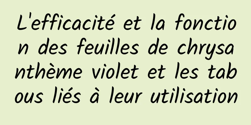 L'efficacité et la fonction des feuilles de chrysanthème violet et les tabous liés à leur utilisation