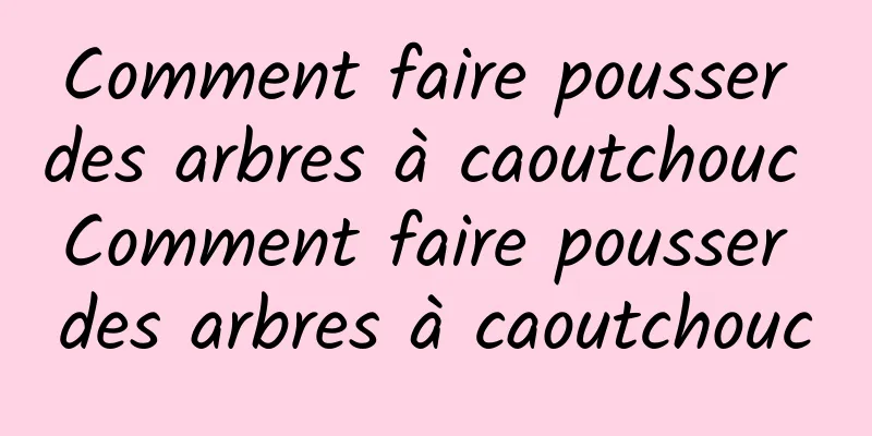 Comment faire pousser des arbres à caoutchouc Comment faire pousser des arbres à caoutchouc