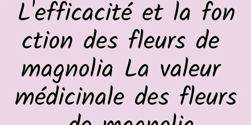 L'efficacité et la fonction des fleurs de magnolia La valeur médicinale des fleurs de magnolia