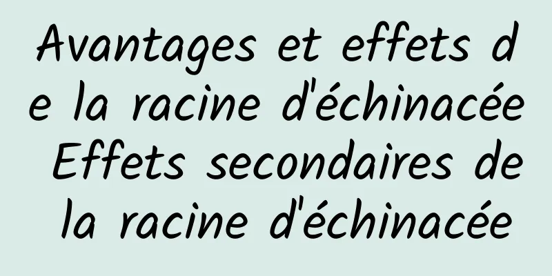 Avantages et effets de la racine d'échinacée Effets secondaires de la racine d'échinacée