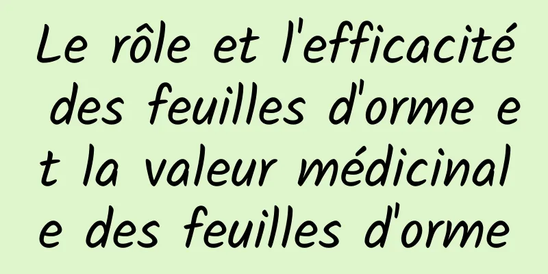 Le rôle et l'efficacité des feuilles d'orme et la valeur médicinale des feuilles d'orme