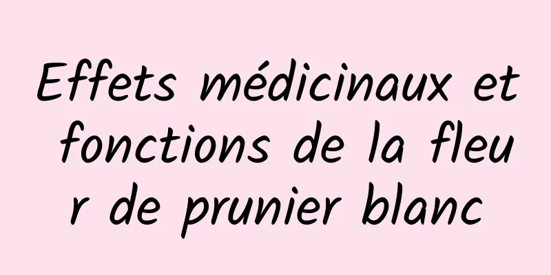 Effets médicinaux et fonctions de la fleur de prunier blanc