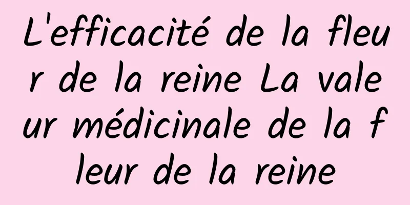 L'efficacité de la fleur de la reine La valeur médicinale de la fleur de la reine