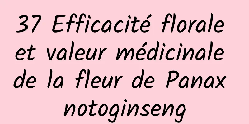 37 Efficacité florale et valeur médicinale de la fleur de Panax notoginseng