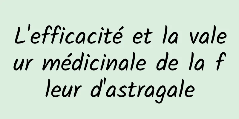 L'efficacité et la valeur médicinale de la fleur d'astragale