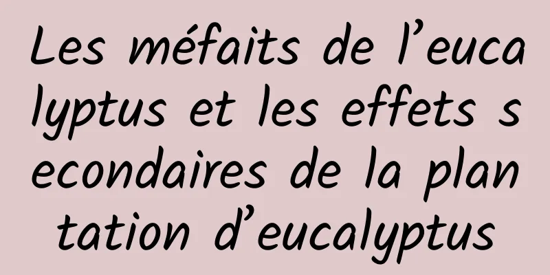 Les méfaits de l’eucalyptus et les effets secondaires de la plantation d’eucalyptus