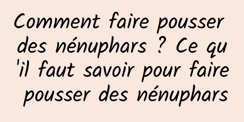 Comment faire pousser des nénuphars ? Ce qu'il faut savoir pour faire pousser des nénuphars