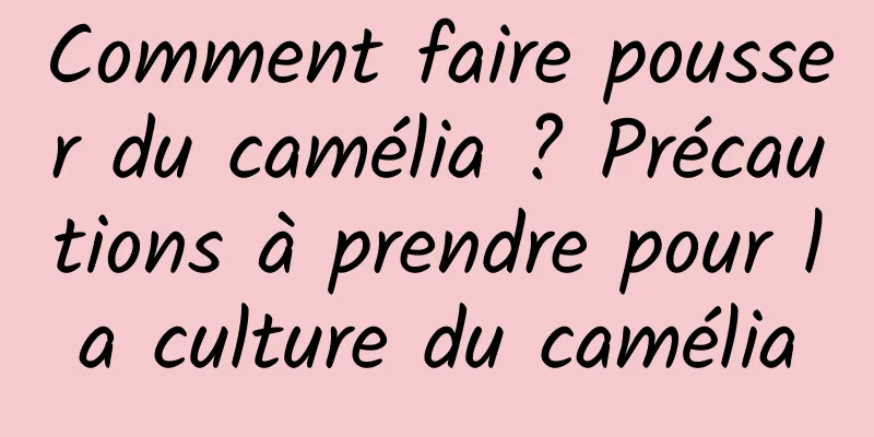 Comment faire pousser du camélia ? Précautions à prendre pour la culture du camélia