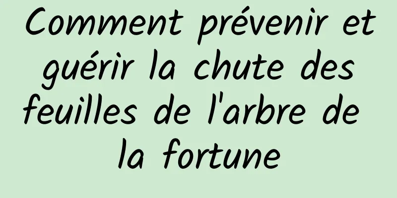 Comment prévenir et guérir la chute des feuilles de l'arbre de la fortune