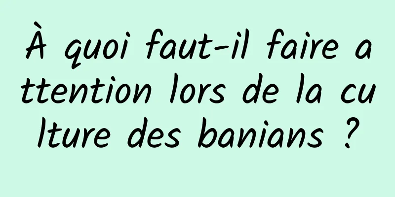 À quoi faut-il faire attention lors de la culture des banians ?