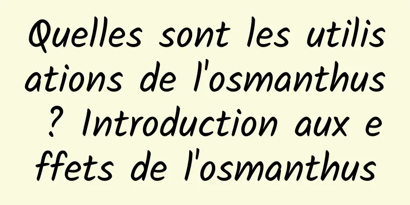 Quelles sont les utilisations de l'osmanthus ? Introduction aux effets de l'osmanthus