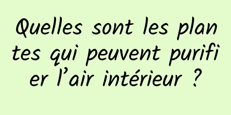 Quelles sont les plantes qui peuvent purifier l’air intérieur ?