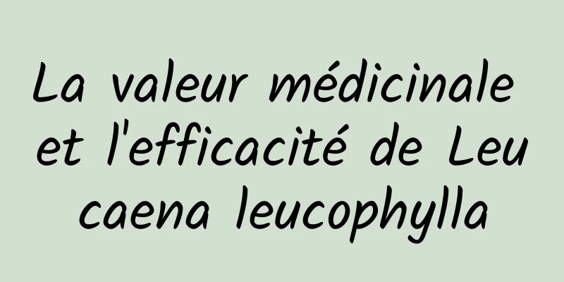 La valeur médicinale et l'efficacité de Leucaena leucophylla