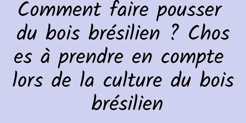 Comment faire pousser du bois brésilien ? Choses à prendre en compte lors de la culture du bois brésilien