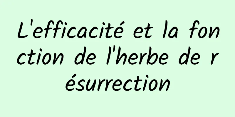 L'efficacité et la fonction de l'herbe de résurrection