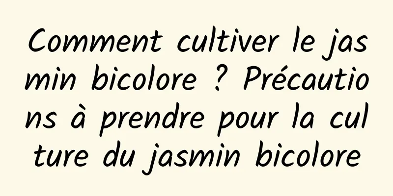 Comment cultiver le jasmin bicolore ? Précautions à prendre pour la culture du jasmin bicolore